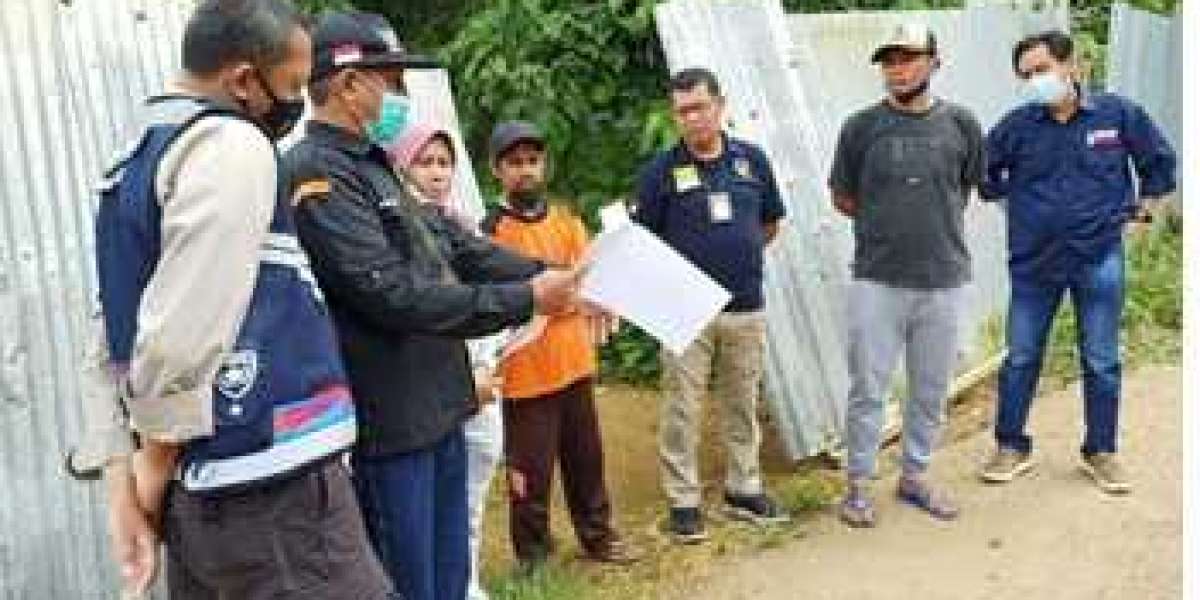 Balai Gakkum KLHK Tangkap Penebang dan Sita 97 Kayu Ilegal di Kabupaten Buton Selatan